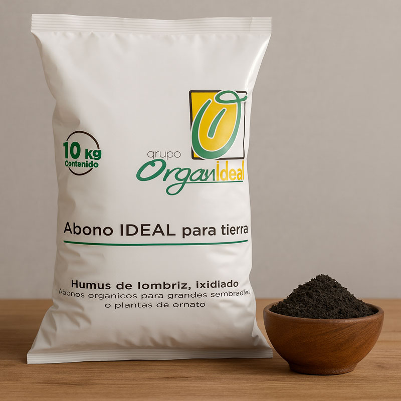 Packaging Design – Bag